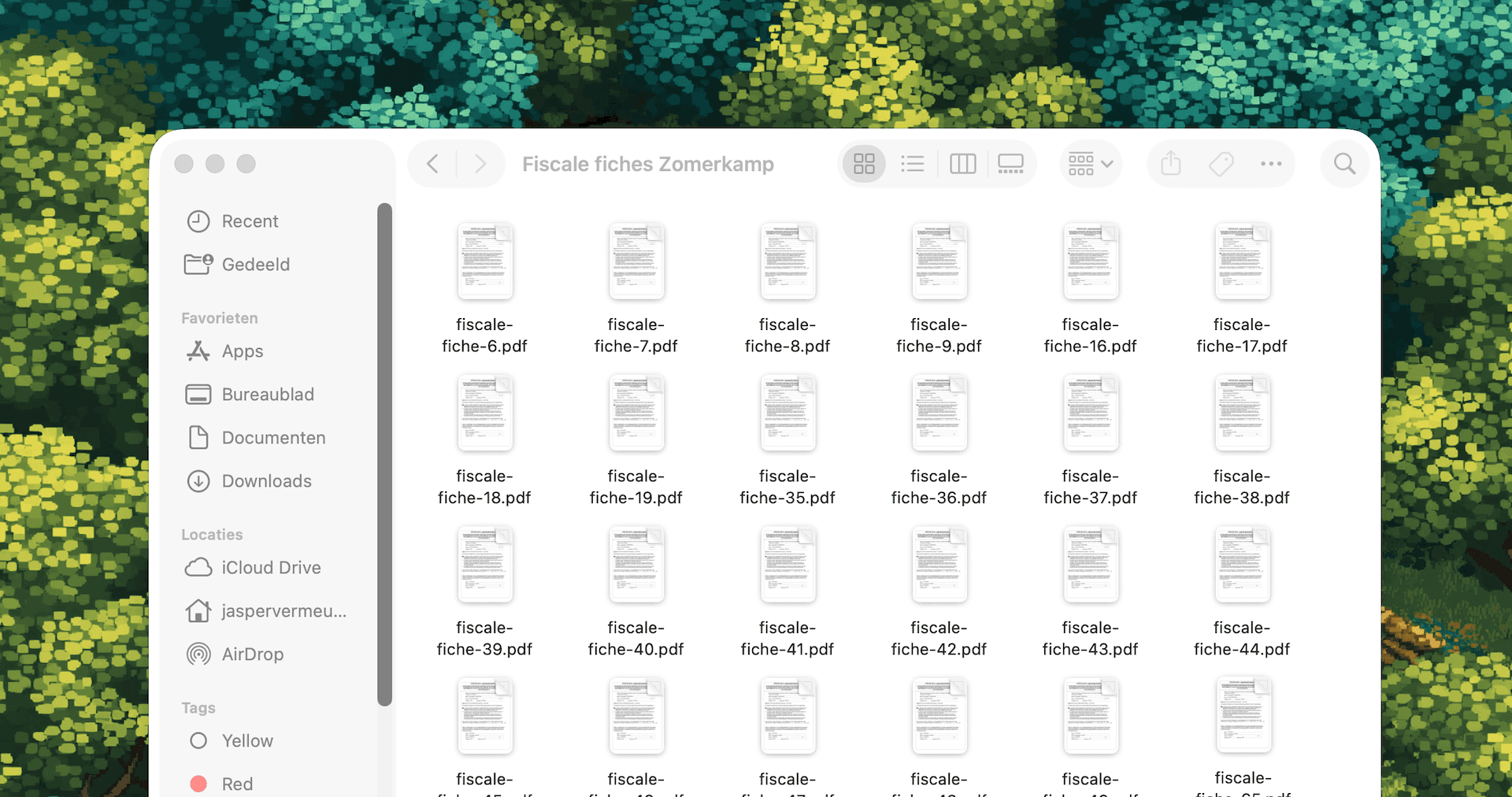 Voorbeeld fiscale fiches download in Kampweb